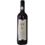 Tinto-Tannat-PUEBLO-DEL-SOL