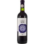 Tinto-Tannat-Roble-PUEBLO-DEL-SOL
