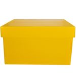 Caja-multiuso-BIBLO-S-amarillo