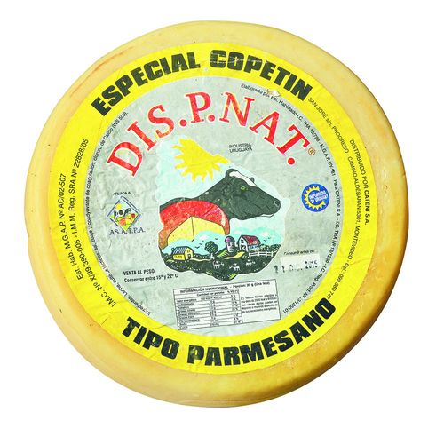 Queso Parmesano DISPNAT especial para picada x 50 g