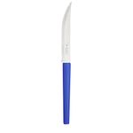 Cuchillo-asado-22cm-m-azul-millenium-DI-SOLLE