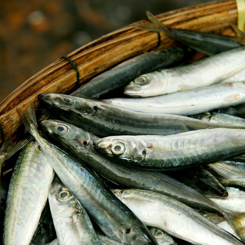 Filet-de-Anchoa-x-90-g