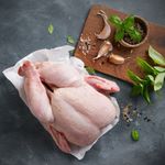 Pollo-con-menudo-CALPRYCA