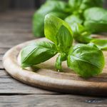 Albahaca-NUESTRA-QUINTA-bja.