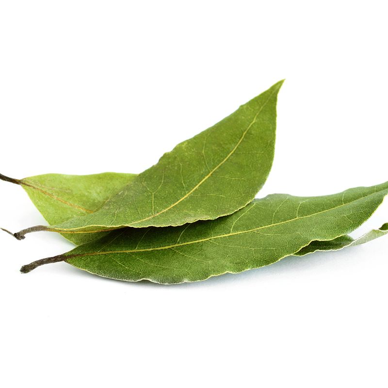 Laurel-Fresco-GRANJA-MALLORCA