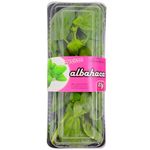 Albahaca-NUESTRA-QUINTA-bja.