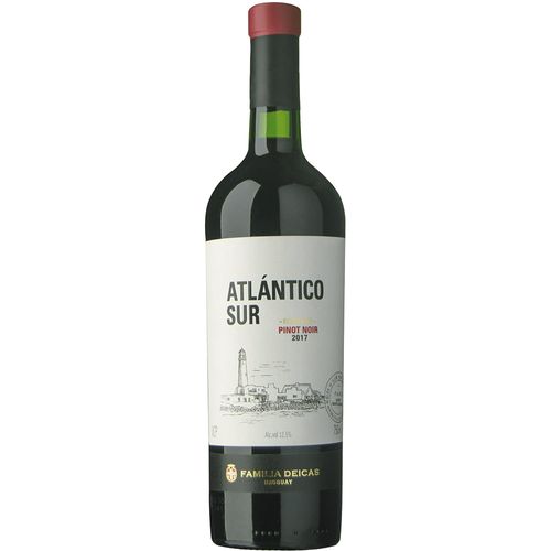 Vino Tinto Pinot Noir Reserve Atlántico Sur 750 ml