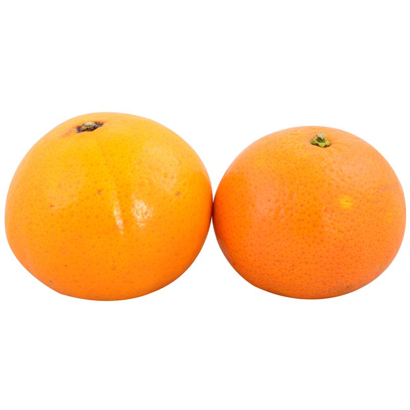 Mandarina-Nova-especial