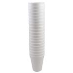 Vaso-termico-180-ml-20-un.