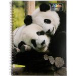 Cuadernola-graffitti-96h-t-flexible