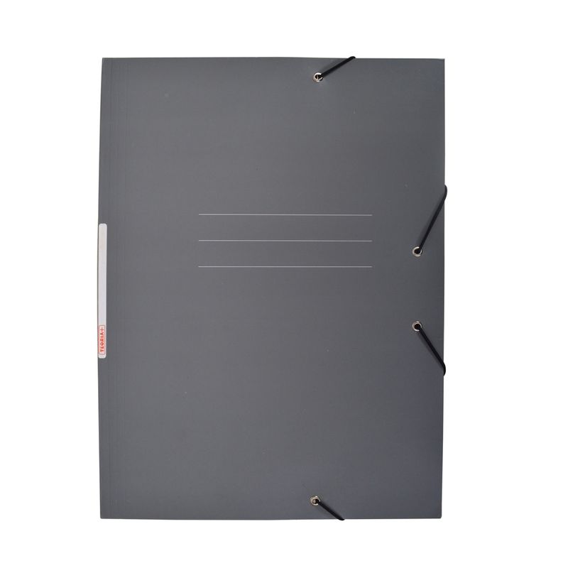 Carpeta-TEORIA--c-elastico-carton-gris
