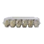Huevos-de-codorniz-Amlajor-24-un.