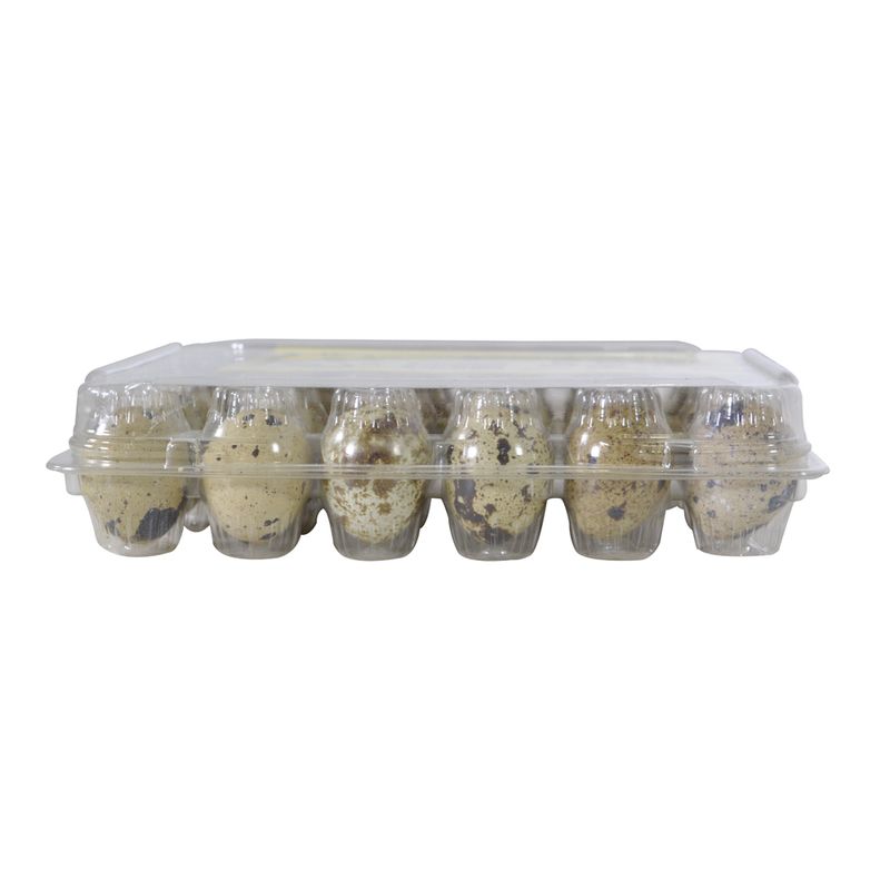 Huevos-de-codorniz-Amlajor-24-un.