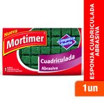 Fibra-Esponja-MORTIMER-Cuadriculada-Abrasiva