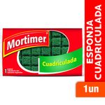Fibra-Esponja-MORTIMER-Cuadriculada
