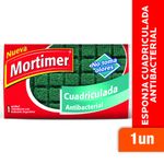 Fibra-Esponja-MORTIMER-Cuadriculada-Antibacterial
