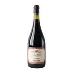Tinto-Castel-Pujol
