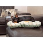 Almohadon-para-gatos-o-perros-Scott-43x30-cm