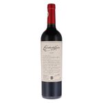 Vino-tinto-Syrah-Escorihuela-GASCON-750-ml