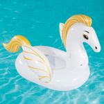 Pegasso-inflable-159x109-cm