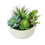 Suculenta-con-maceta-16-cm