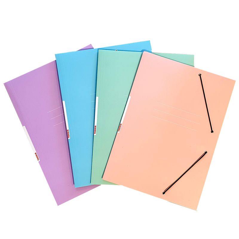 Carpeta-TEORIA--con-elastico-verde-pastel