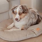 Almohadon-para-gatos-o-perros-FERPLAST-Stuart-55x36-cm