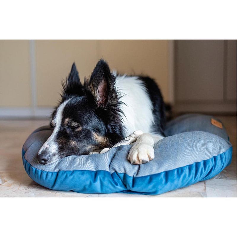 Almohadon-para-gatos-o-perros-FERPLAST-Stuart-65x42-cm