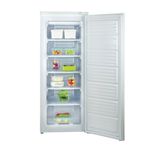 Freezer-Vertical-TEM-Mod.T0UFRV2505001-FH-165-L