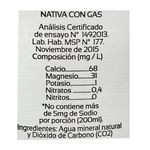 Agua-NATIVA-con-Gas-bt.-2.250-L