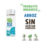 Bebida-The-Bridge-bio-de-arroz-y-coco-250-ml