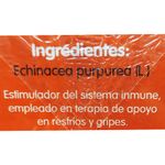 Te-CABRAL-antigrip-10-un.