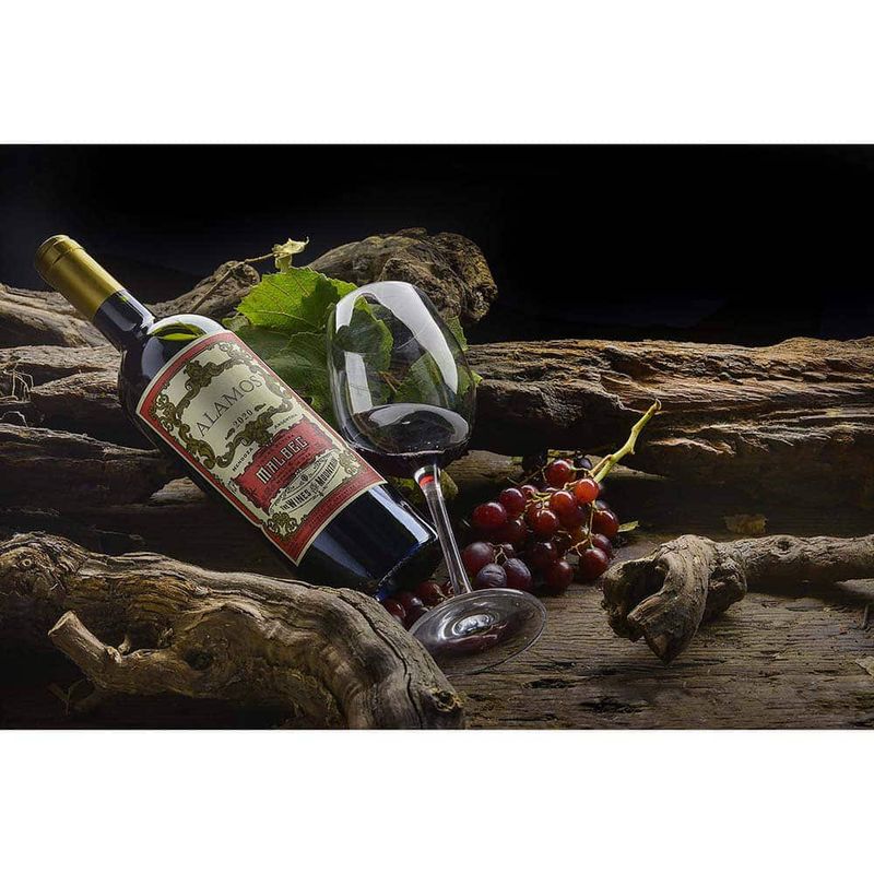 Malbec-Alamos-Tinto