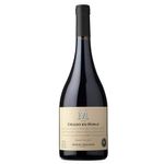 Tinto-Blend-Montes-Toscanini-Criado-en-Roble