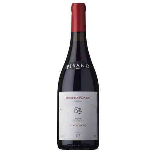 Vino Pinot Noir Río de los Pájaros Pintados 750 ml