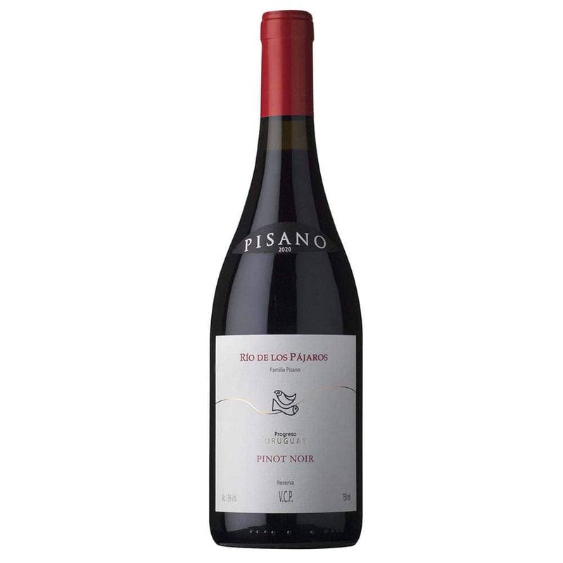 Pinot-Noir-RIO-DE-LOS-PAJAROS-PINTADOS-Tinto-750-cc