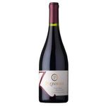 Vino-Tinto-Pinot-Noir-Reserva-PIZZORNO-bt.-750ml
