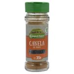Canela-en-polvo-35-g