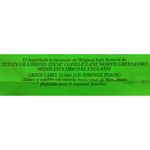 Te-HORNIMANS-verde-90-g