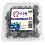 Arandano-importado-petaca-125-g