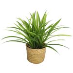 Planta-artificial-con-maceta-d165x40-cm