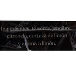 Te-PRESIDENT-verde-jengibre-limon-10-sobres