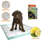 Pad-de-entrenamiento-14-piezas-60x58-cm