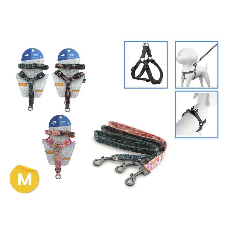 Arnes---correa-set-talle-M