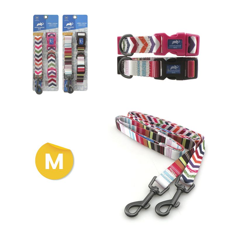 Collar---correa-set-talle-M