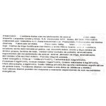 Pandoro-VALENTINO-500-g