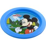Plato-llano-Mickey-naturaleza