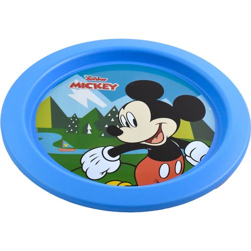 Plato llano Mickey naturaleza