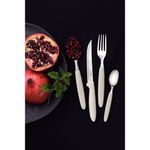 Juego-de-cubiertos-24-piezas-Ipanema-TRAMONTINA