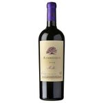 Malbec-ATAMISQUE-tinto-750-cc